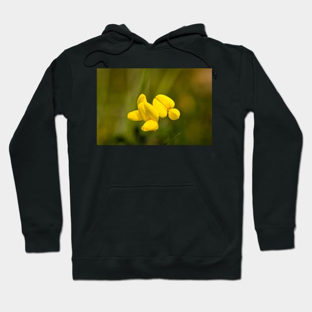 Lotus corniculatus, bird's-foot trefoil Hoodie by GrahamPrentice